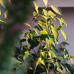 Διαμέρισμα Mary's Cozy *